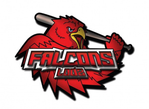 Zajęcia z Baseballu w ZST-I Zajęcia z Baseballu w ZST-I